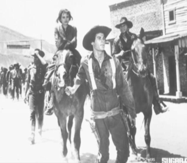 23still.jpg - Sugar Colt still