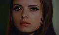 scvamp40