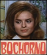 Bochorno