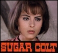 Sugar Colt