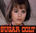 Sugar Colt